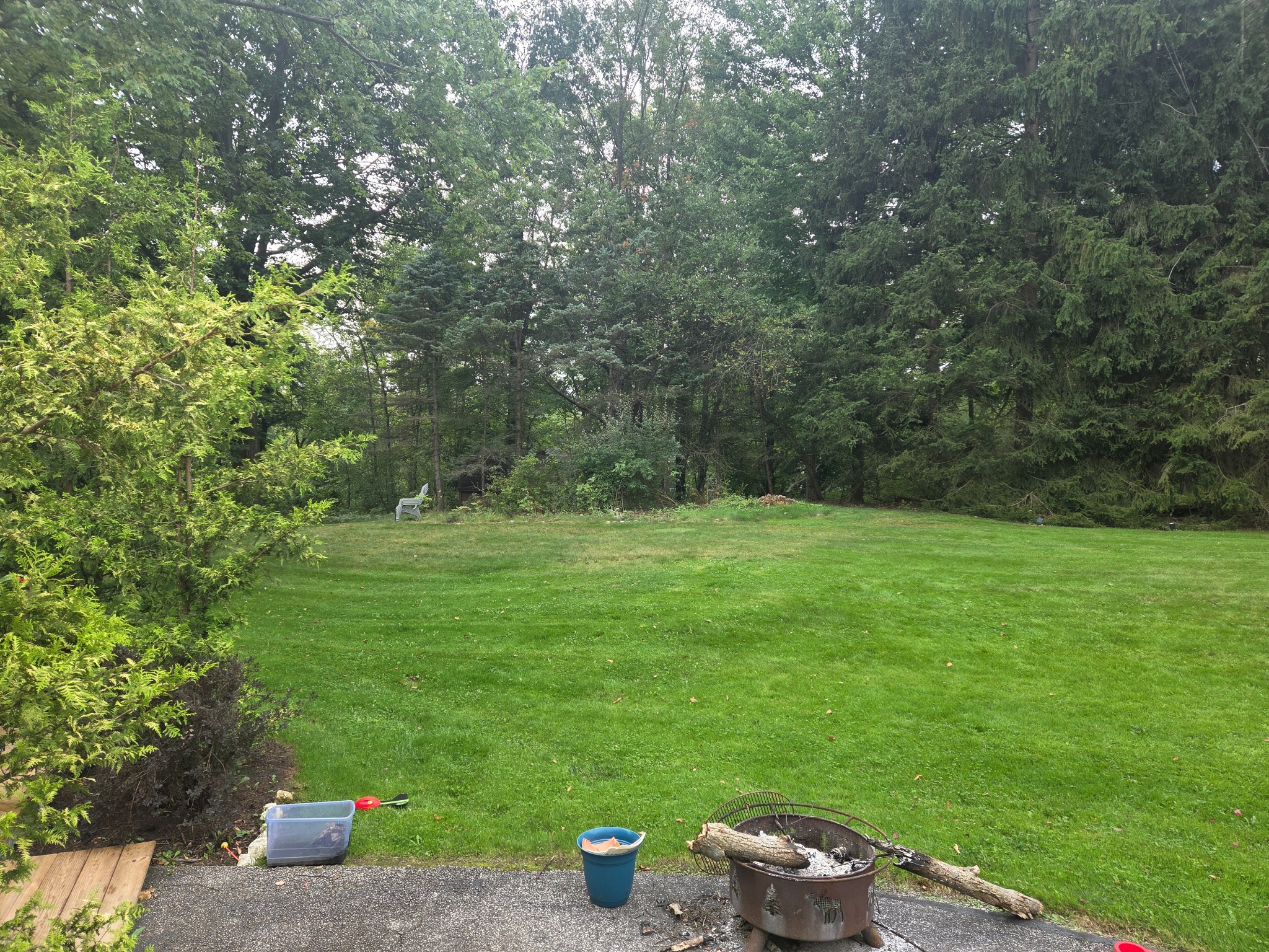 Green backyard meeting a wooded hillside in Northeast Ohio
